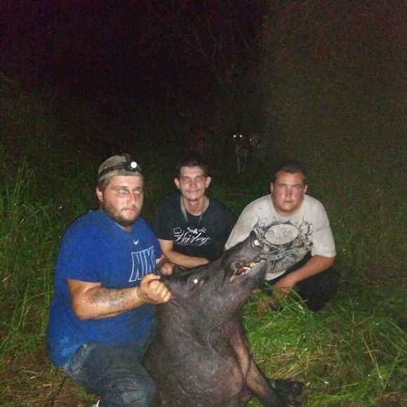 Meet your Posher, Daniel - Picture 1 of 1